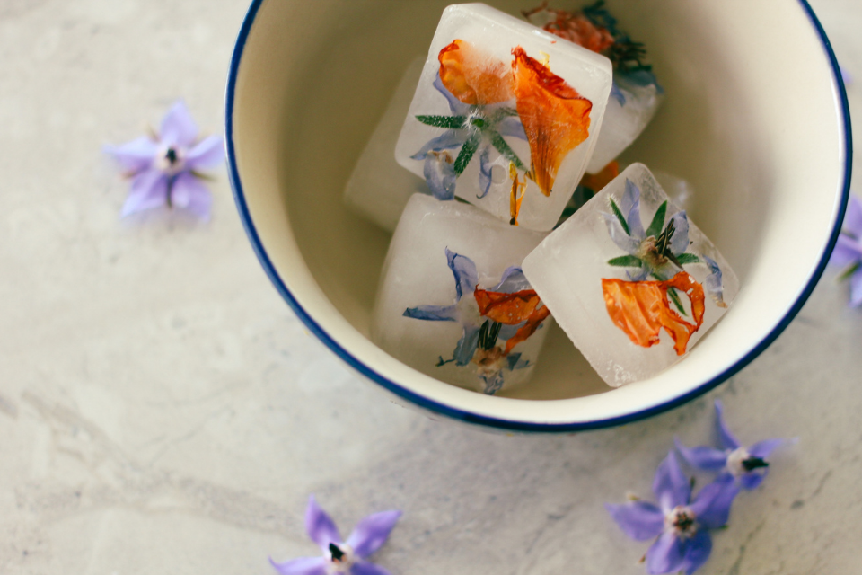 Small ceramic bowl with ice cubes with frozen orange calendula flowers and purple borage