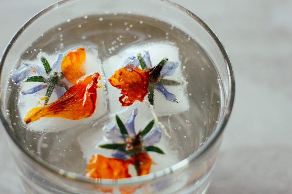 Cocktail in rocks glass with three square ice cubes in it with frozen orange and purple flowers in them