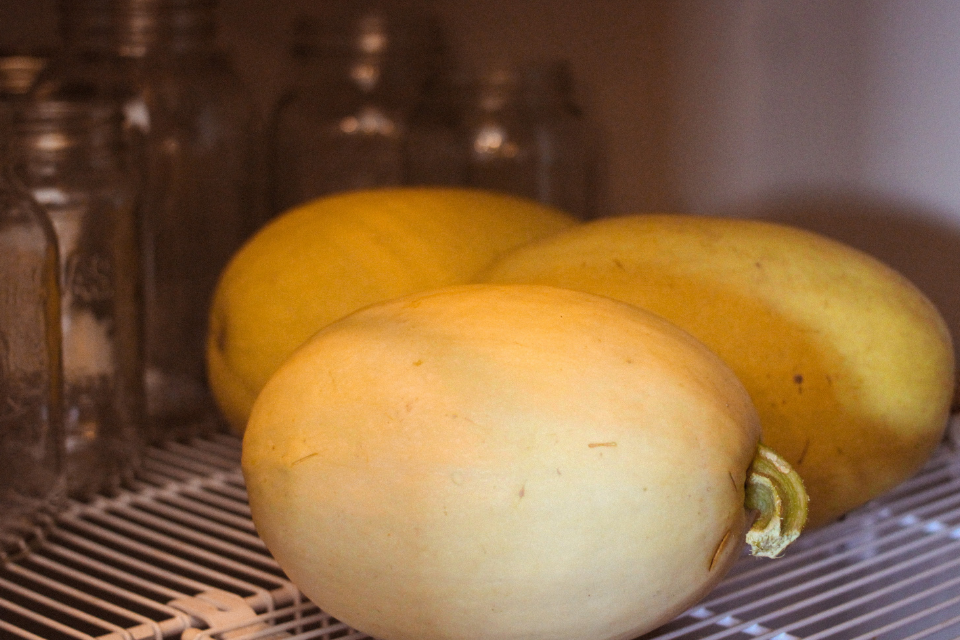 Spaghetti squash on a drying rack in a pantry with glass jars in the background