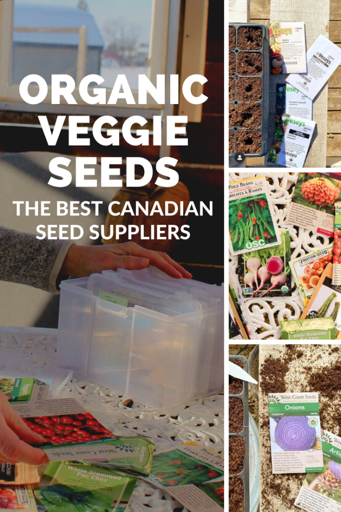 The best canadian organic seed suppliers in 2021/2022