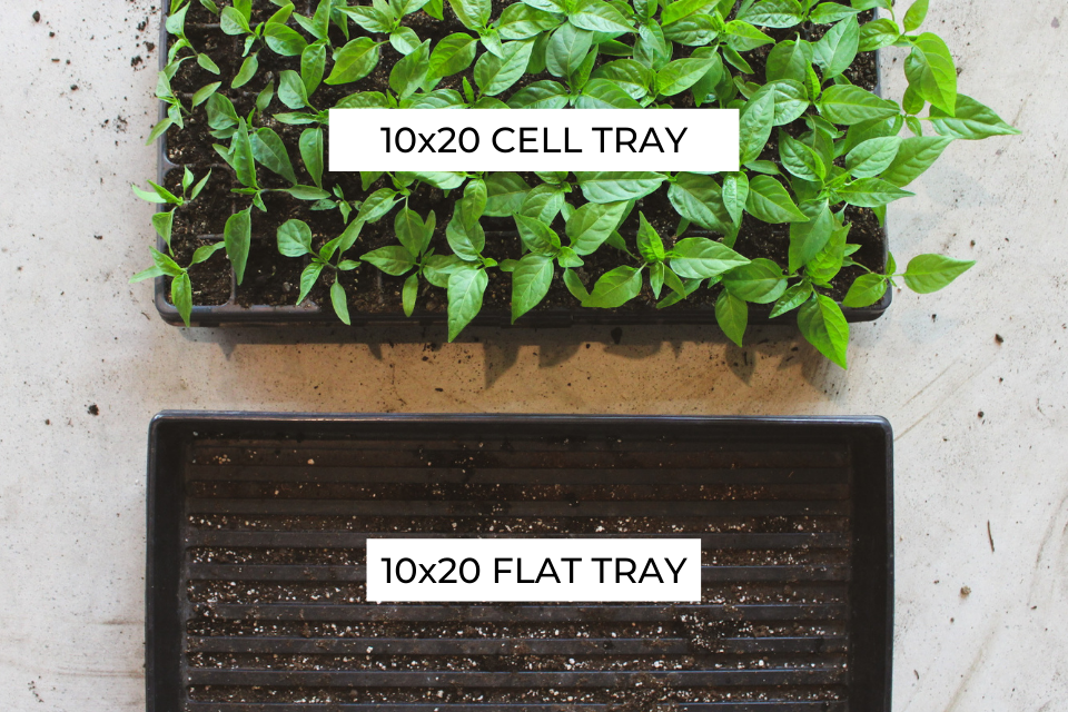 Side by side comparison of 10x20 seed trays