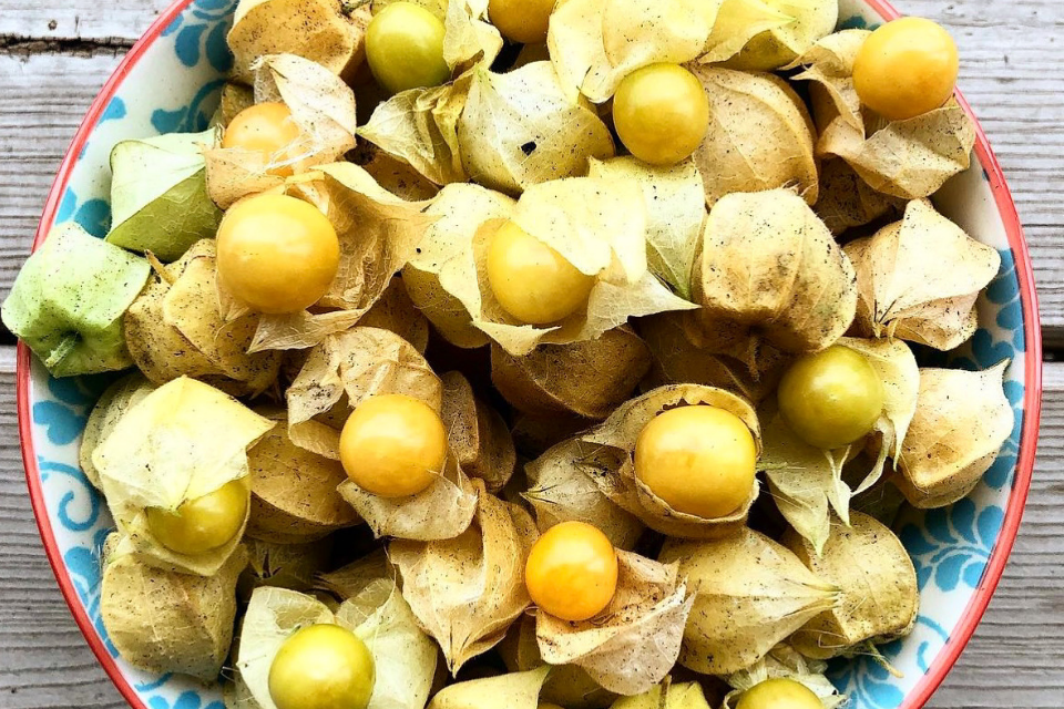 Bowl of golden ground cherries in a paper husk