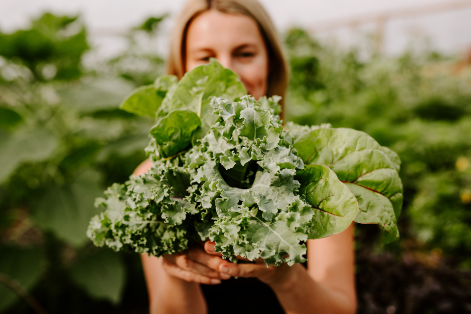 Maggie holding handful of kale grown in Zone 3 garden