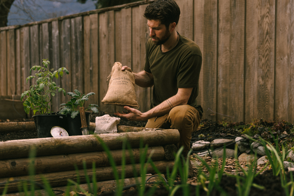 Adding worm castings to raised bed soil