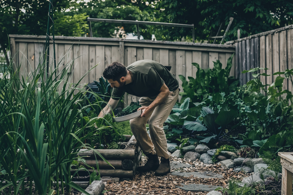 Jordan Mara harvesting from a raised bed in his garden