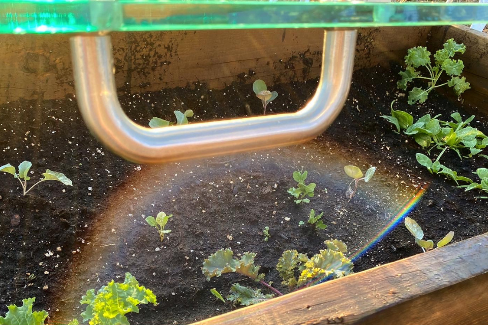 Shower door over raised bed for DIY cold frame