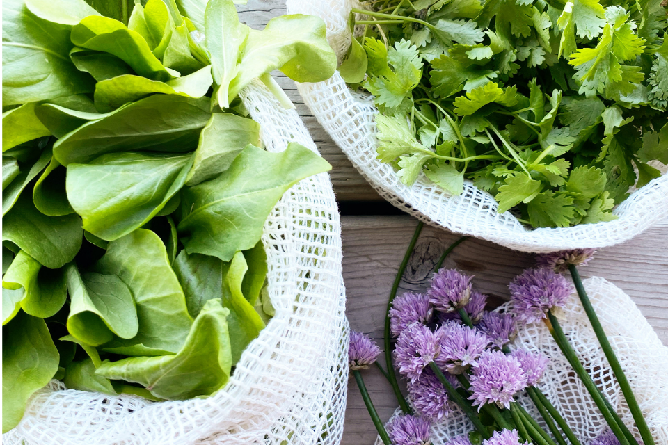 Spinach, cilantro and chives in white mesh bags