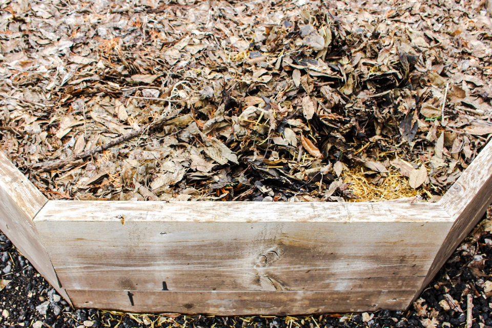 Wooden raised bed mulched with leaves and straw