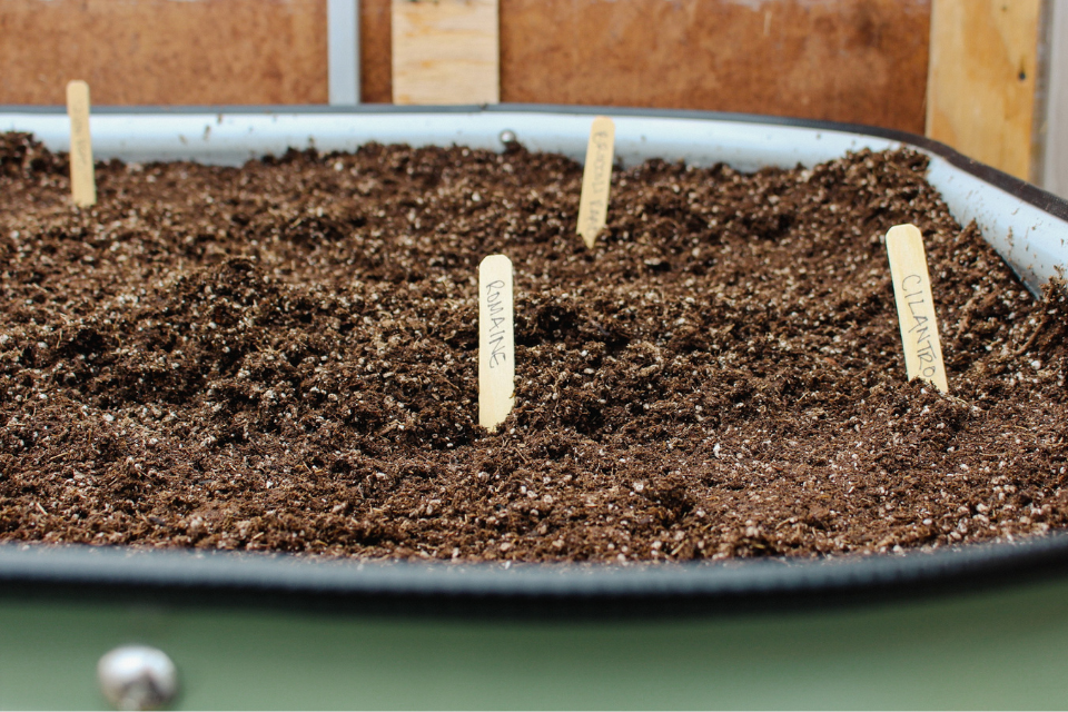 Seeds planted into a Sproutbox raised bed garden