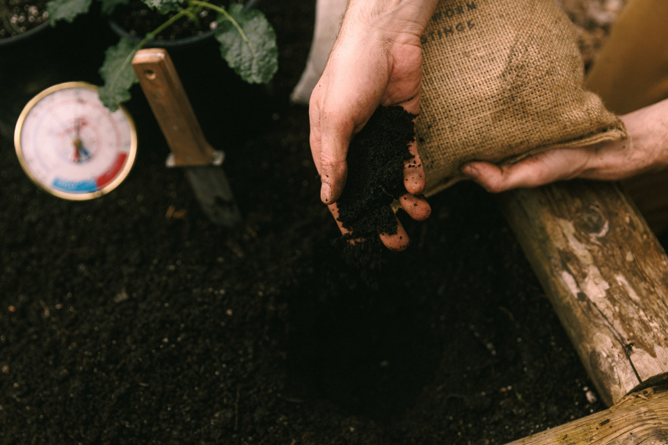 Adding worm casting to the vegetable garden