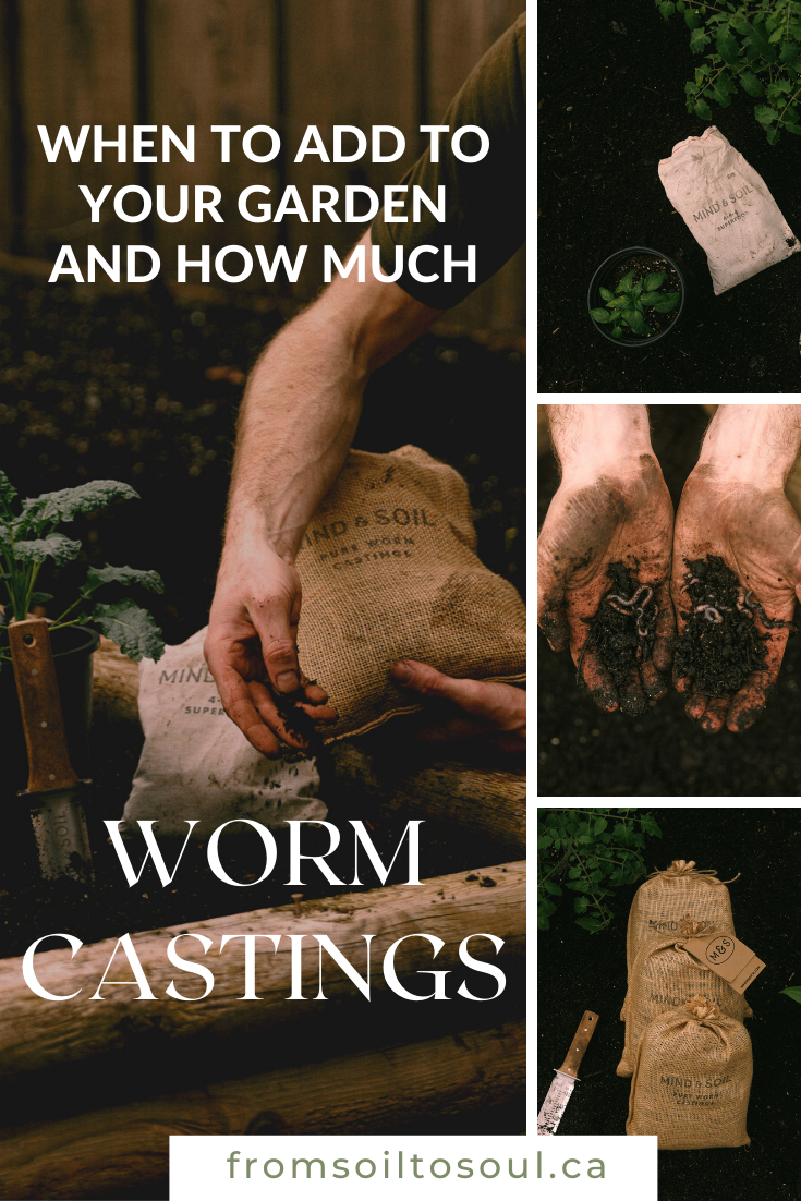 From Soil to Soul Pinterest worm castings promotion