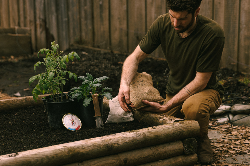 Adding worm castings to a raised bed