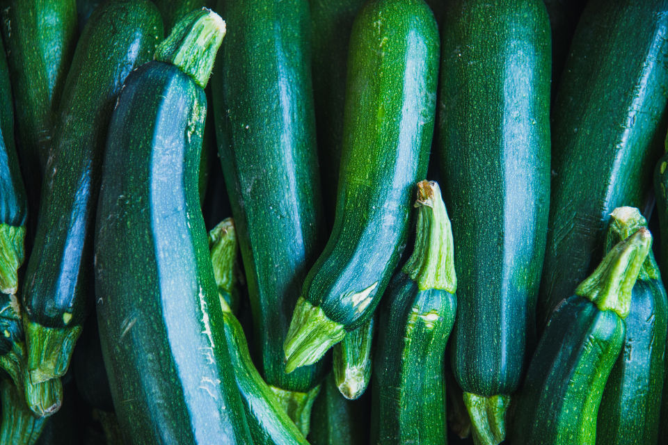 Green garden zucchinis in a row