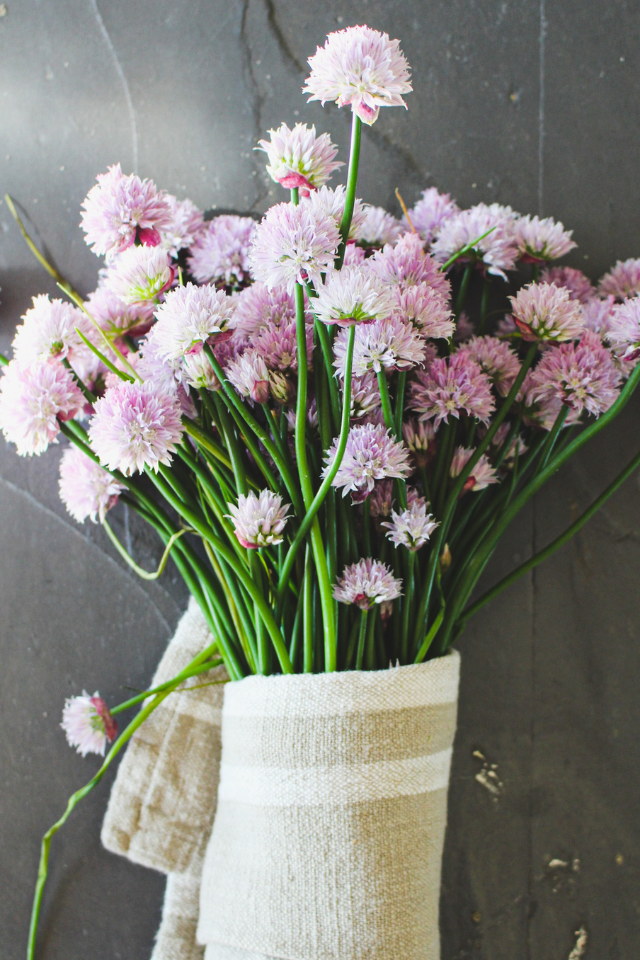 Fresh chives in a tea towel