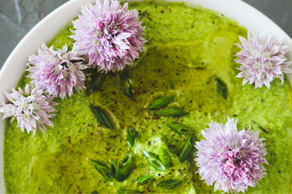 Easy vegan chive pesto recipe