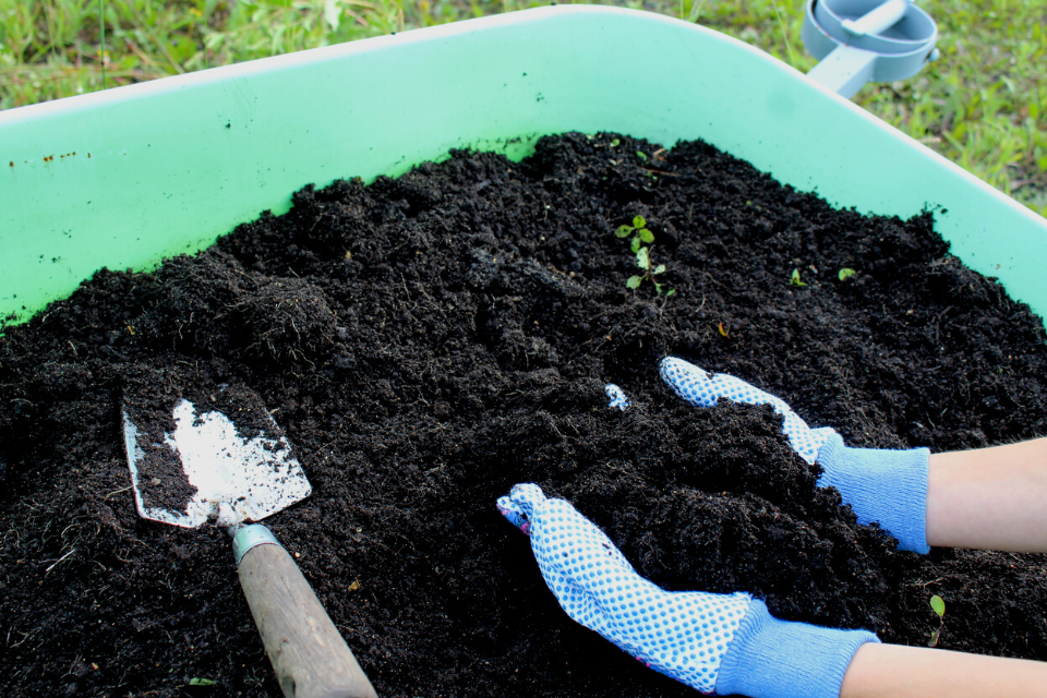 Fertilizing with compost