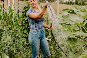 Watering the gardening with a water wand