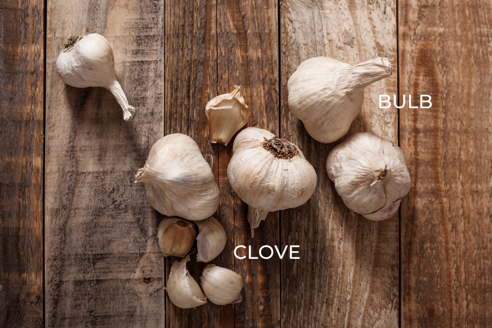 Garlic cloves vs. bulbs