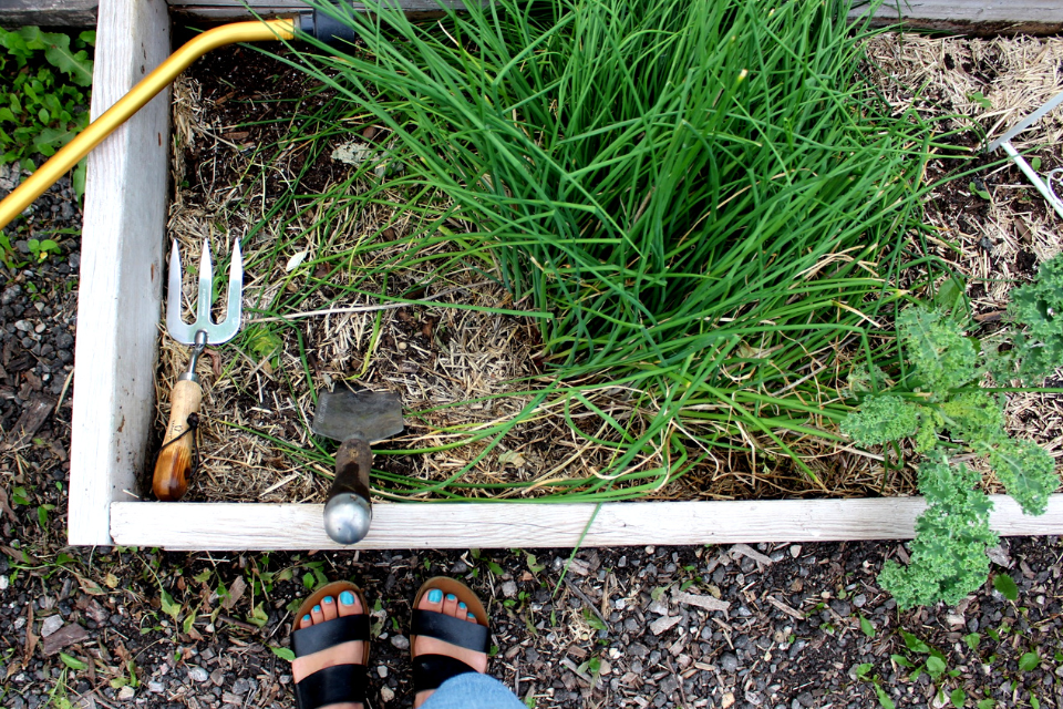 How to prep a garden bed for Fall planting 