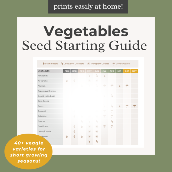 Veggie Seed Starting Guide — 40+ Varieties