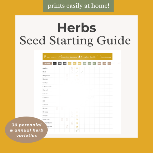 Herb Seed Starting Guide — 30 Varieties